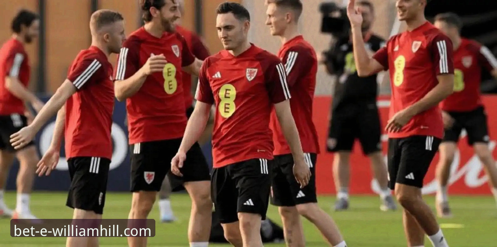 世预赛爆冷之夜：波黑点杀意大利，威廉希尔官网观赛完整指南